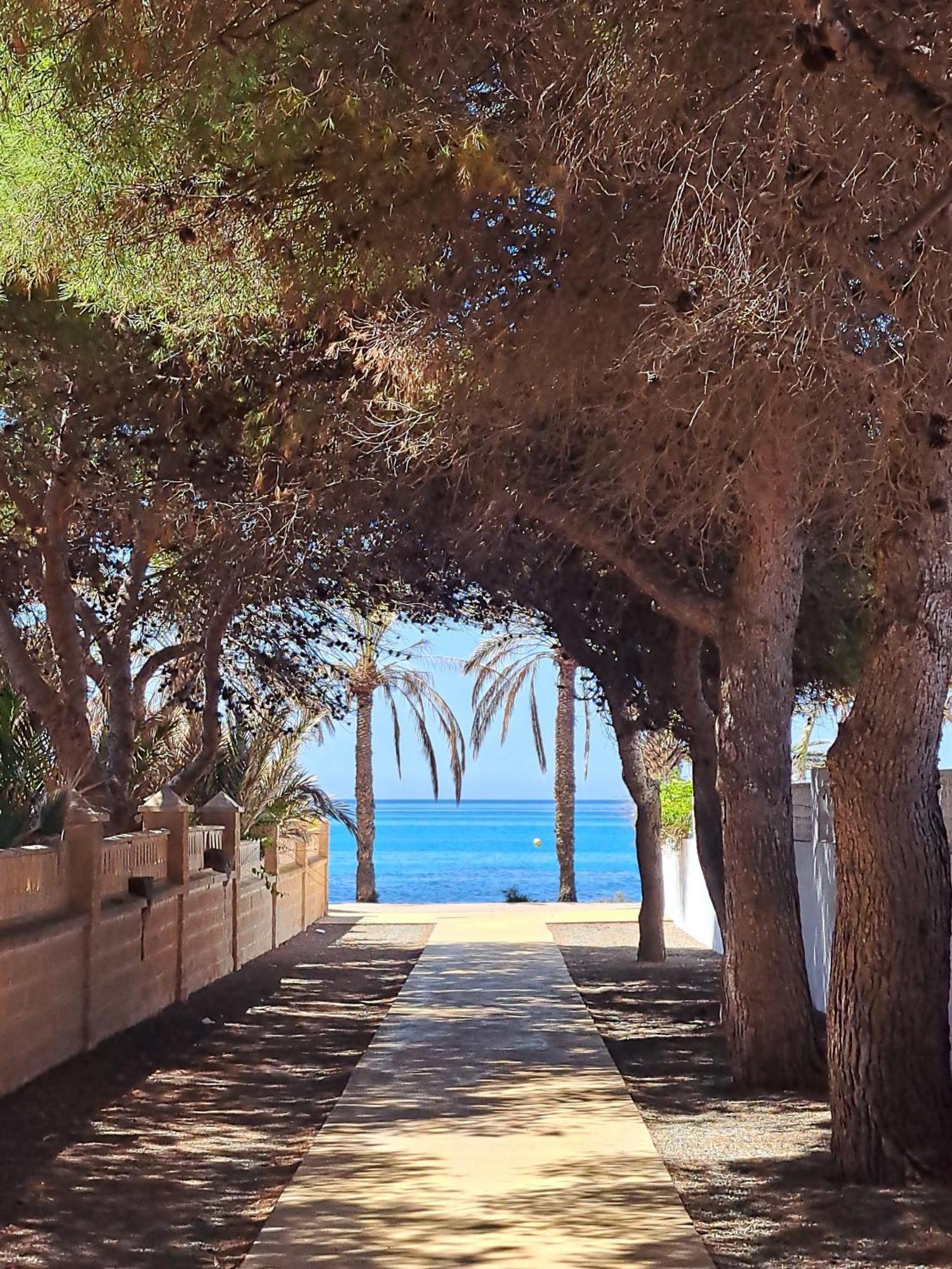Apartamento Atico Con Vistas Al Mar En *